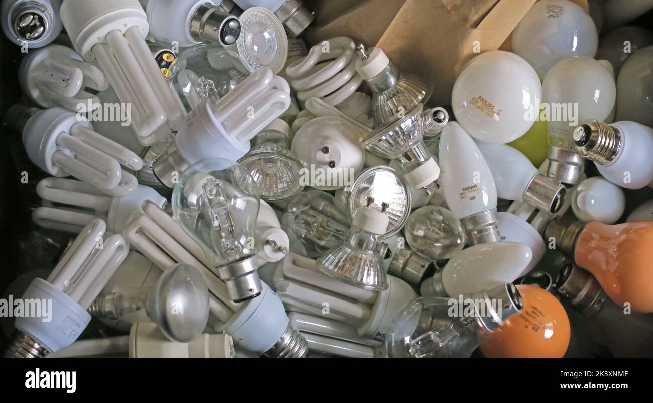 Servicio de reciclaje de bombillas y lámparas - WEEE Foto de stock