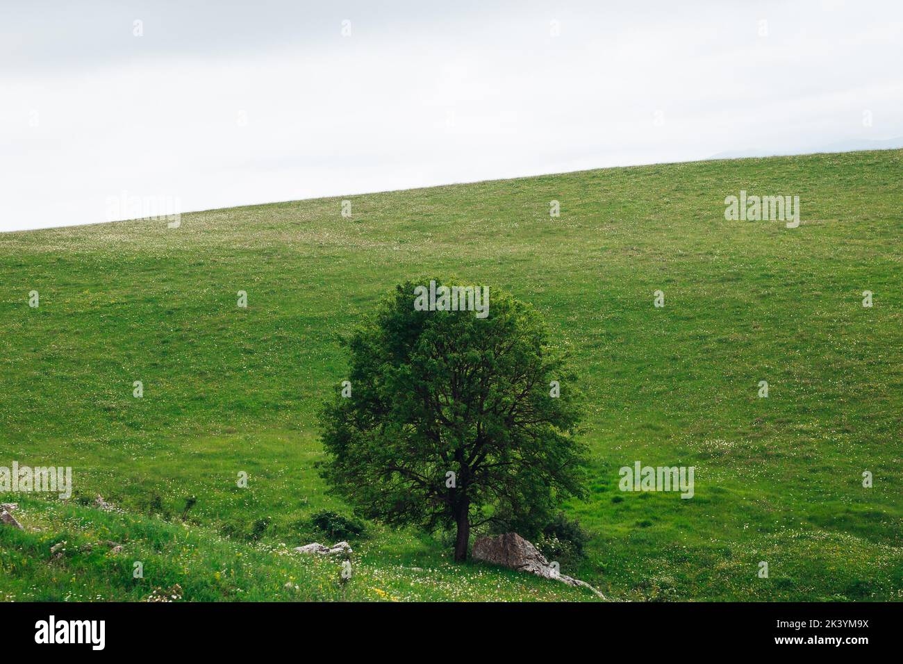 Una vista panorámica de los montes cubiertos de verde armenio Foto de stock