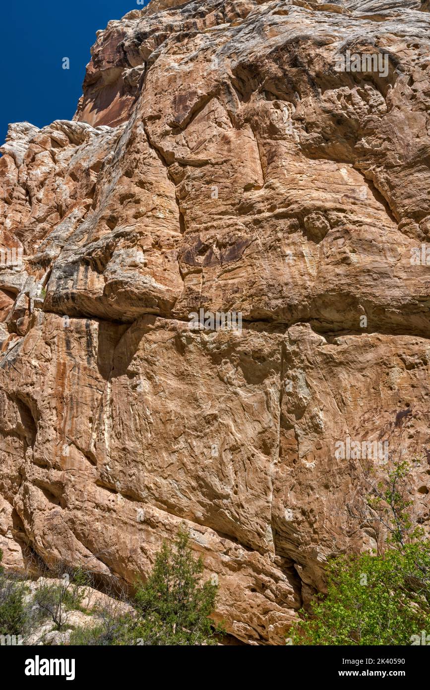 Pared de arenisca Weber en Box Canyon, cerca de Josie Morris Cabin, Monumento Nacional de los Dinosaurios, Utah, EE.UU Foto de stock
