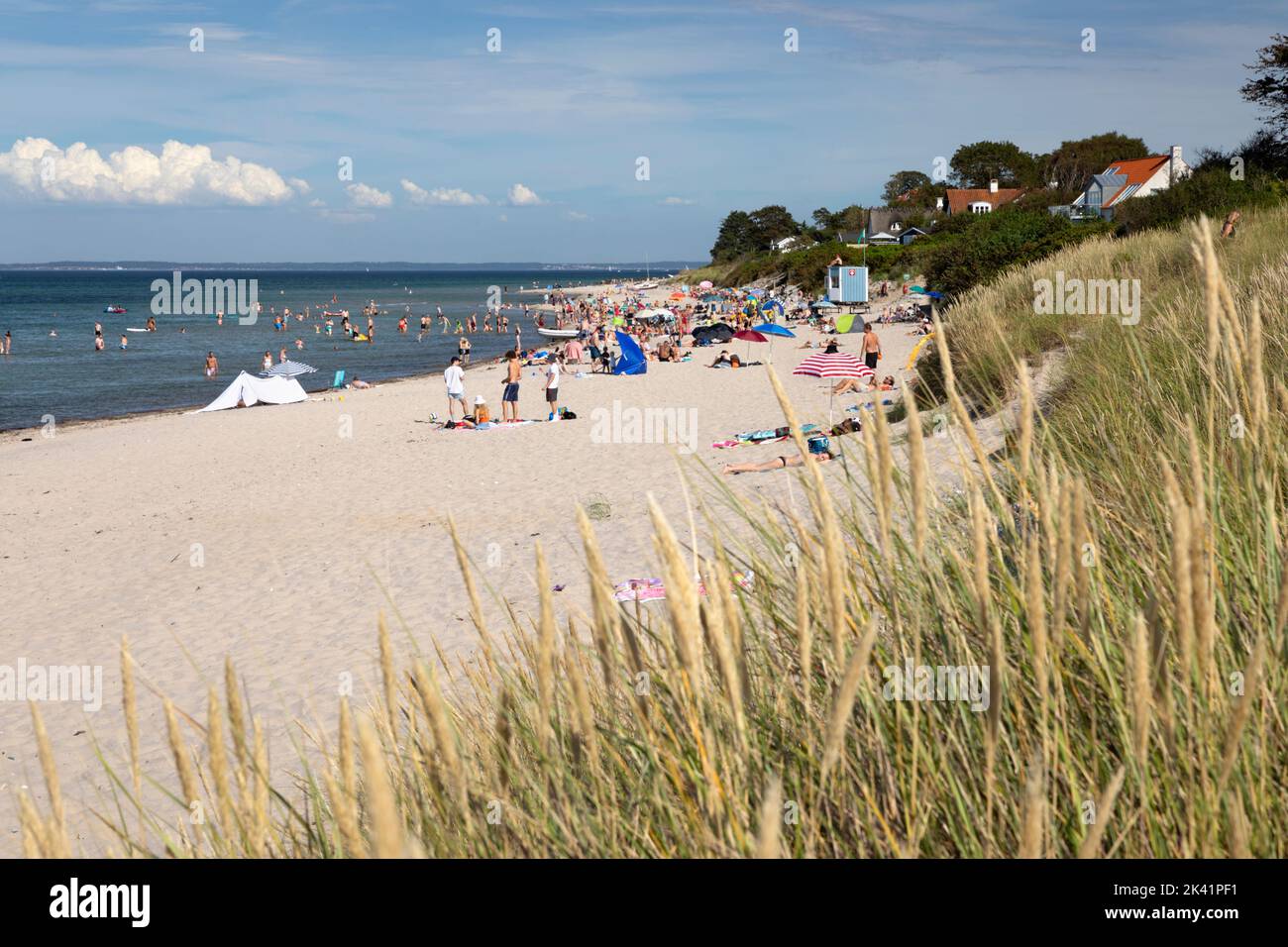 Playa de Dronningmolle en la soleada tarde de verano, Dronningmolle, Zelanda, Dinamarca, Europa Foto de stock