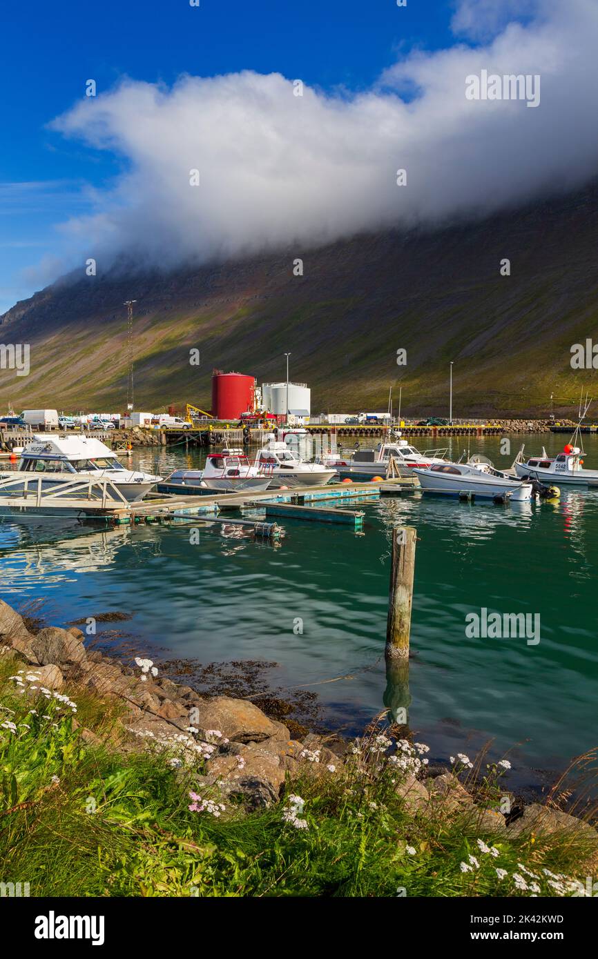 Puerto de Isafjordur, Islandia, Europa Foto de stock