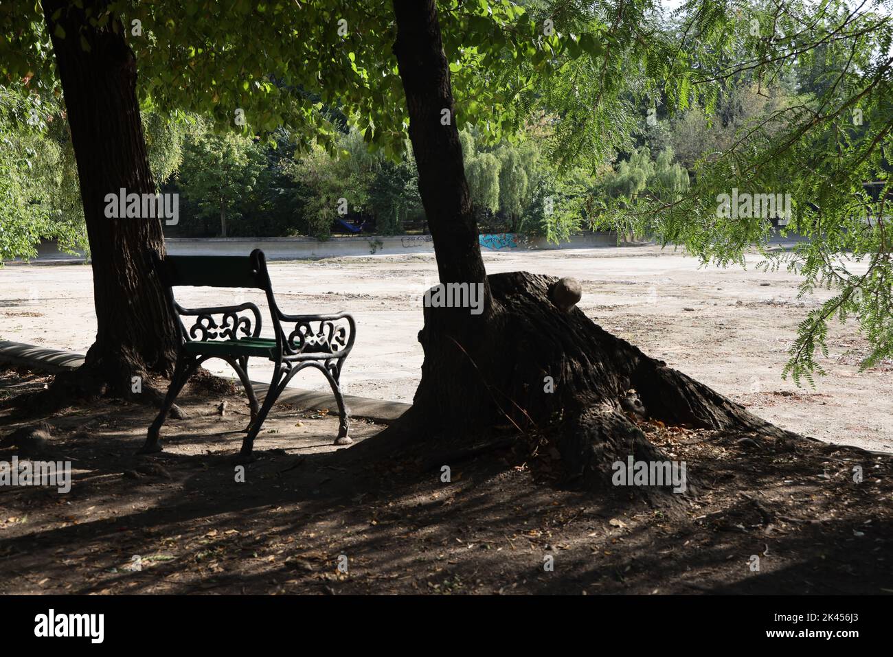 Solitario banco vacío en el parque de Cișmigiu, Bucarest, Rumania, entre árboles mirando hacia fuera sobre un estanque seco, vacío sin agua Foto de stock