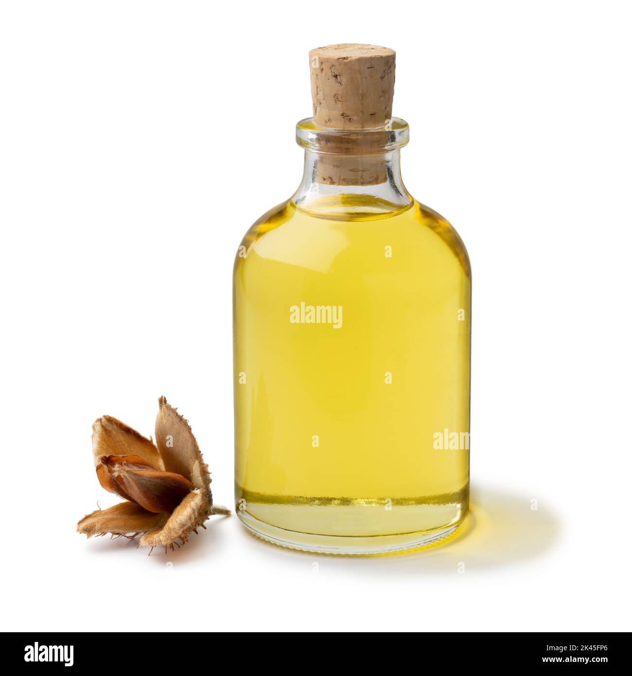 Botella de aceite de haya y un solo beechnut aislado sobre fondo blanco Foto de stock