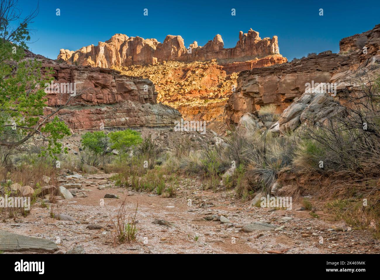 Formaciones rocosas de arenisca de Coconino sin nombre sobre Chute Canyon, Little Ocean Draw Wilderness, San Rafael Reef, Utah, EE.UU Foto de stock