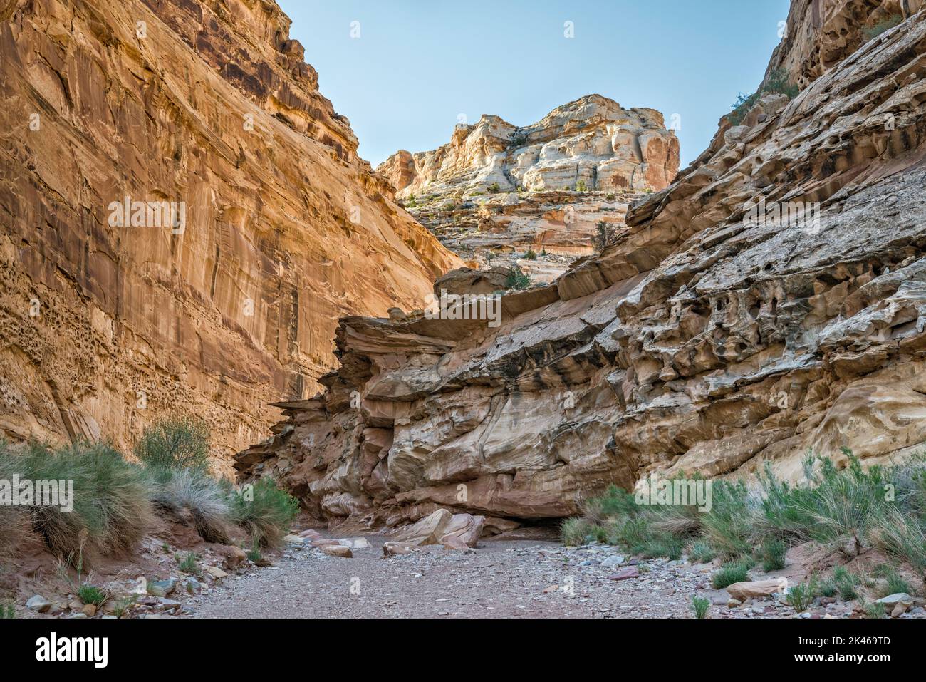 Formaciones de piedra arenisca sin nombre de Coconino en Chute Canyon, Little Ocean Draw Wilderness, San Rafael Reef, Utah, Estados Unidos Foto de stock