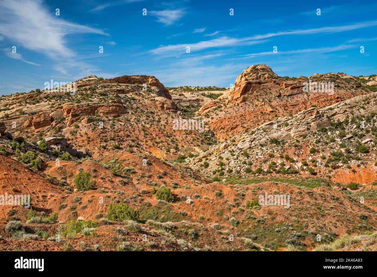 Morgan Formation roza Red Wash, vista desde la ruta Sound of Silence, el área de Split Mountain, el Monumento Nacional de los Dinosaurios, Utah, EE.UU Foto de stock