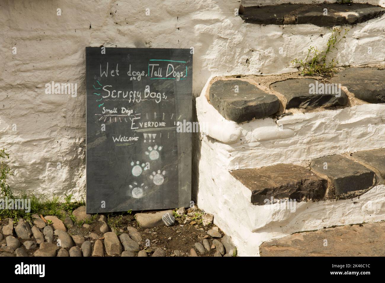 Humorístico cartel de pub que da la bienvenida a los perros incluso si están desaliñados y mojados, en Clovelly pueblo, Devon, Inglaterra Foto de stock