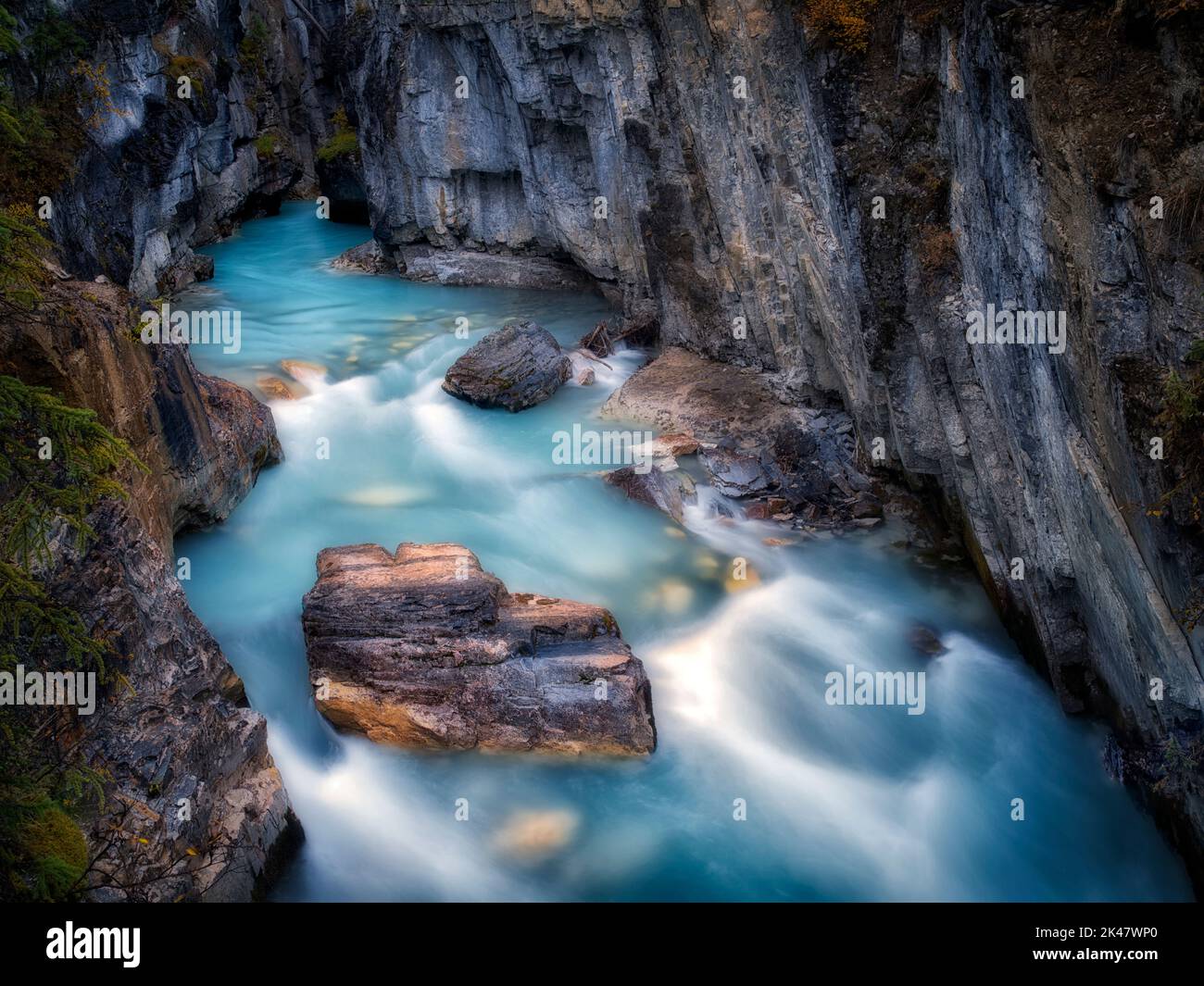 Tokumm Creek, cañón de mármol. Parque Nacional Kooteny, Canadá Foto de stock