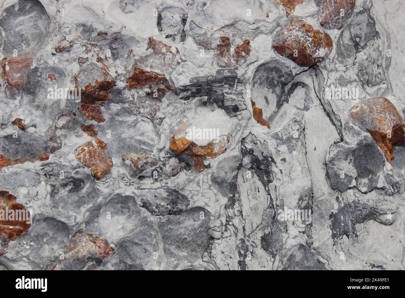 Retinita - nódulos marrones con carbón en arenisca - mina Kawakawa, Isla Norte, Nueva Zelanda Foto de stock
