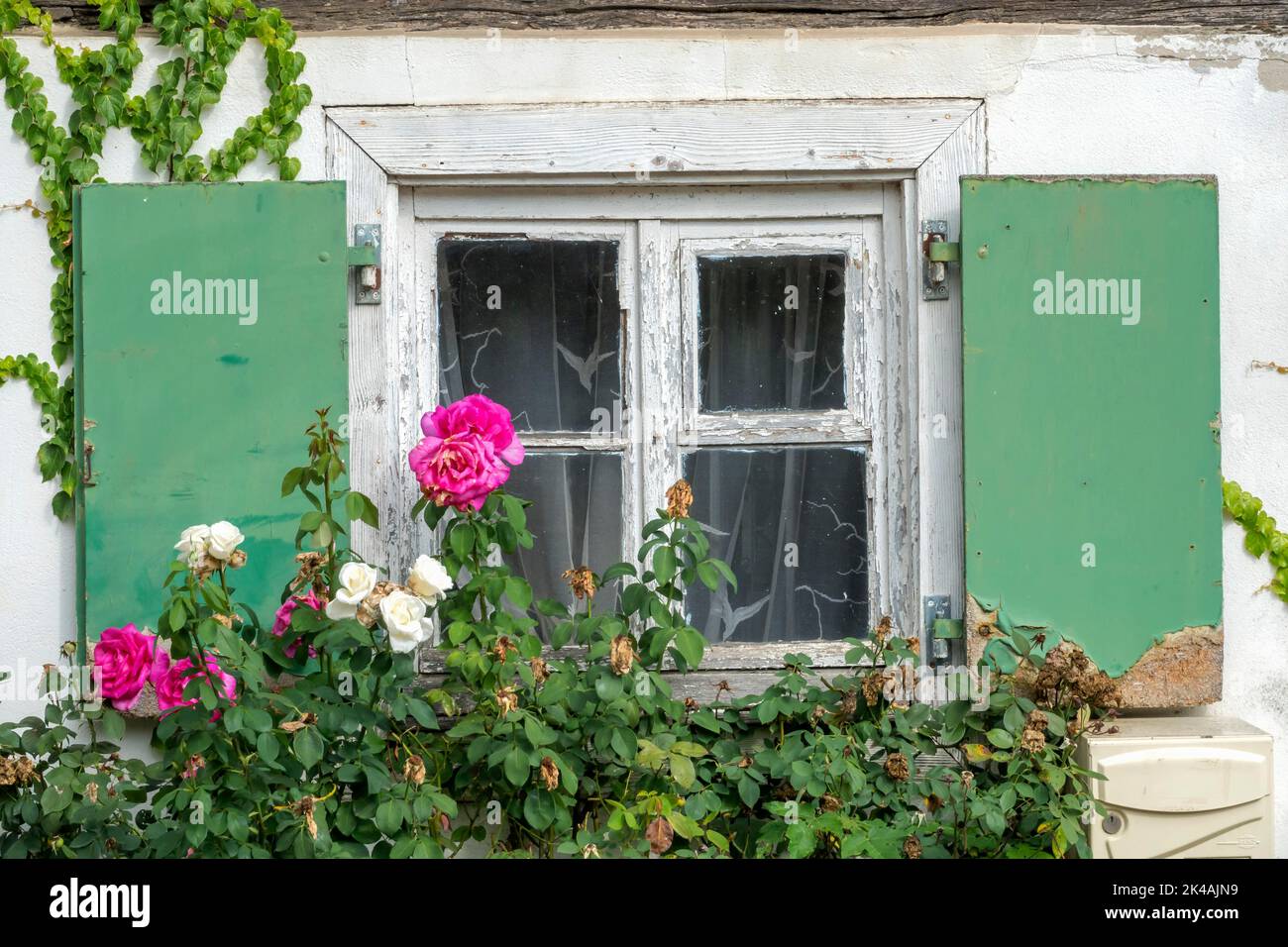 Ventana decorativa con persianas de madera verde en la pared de la casa  Fotografía de stock - Alamy