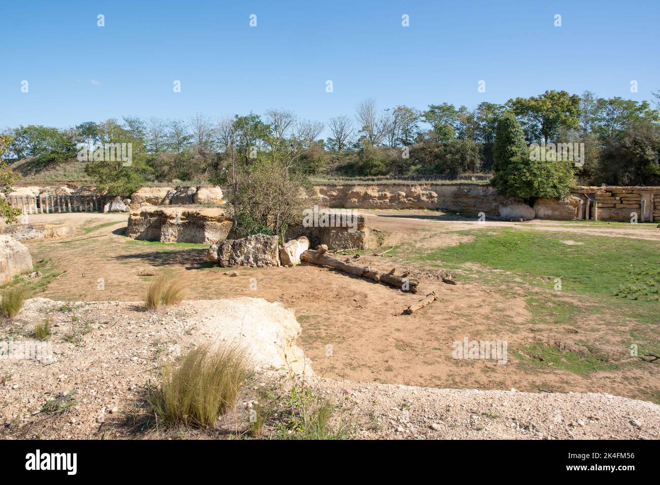 Valle del Rhinoceros Bioparc Doue la Fontaine Foto de stock