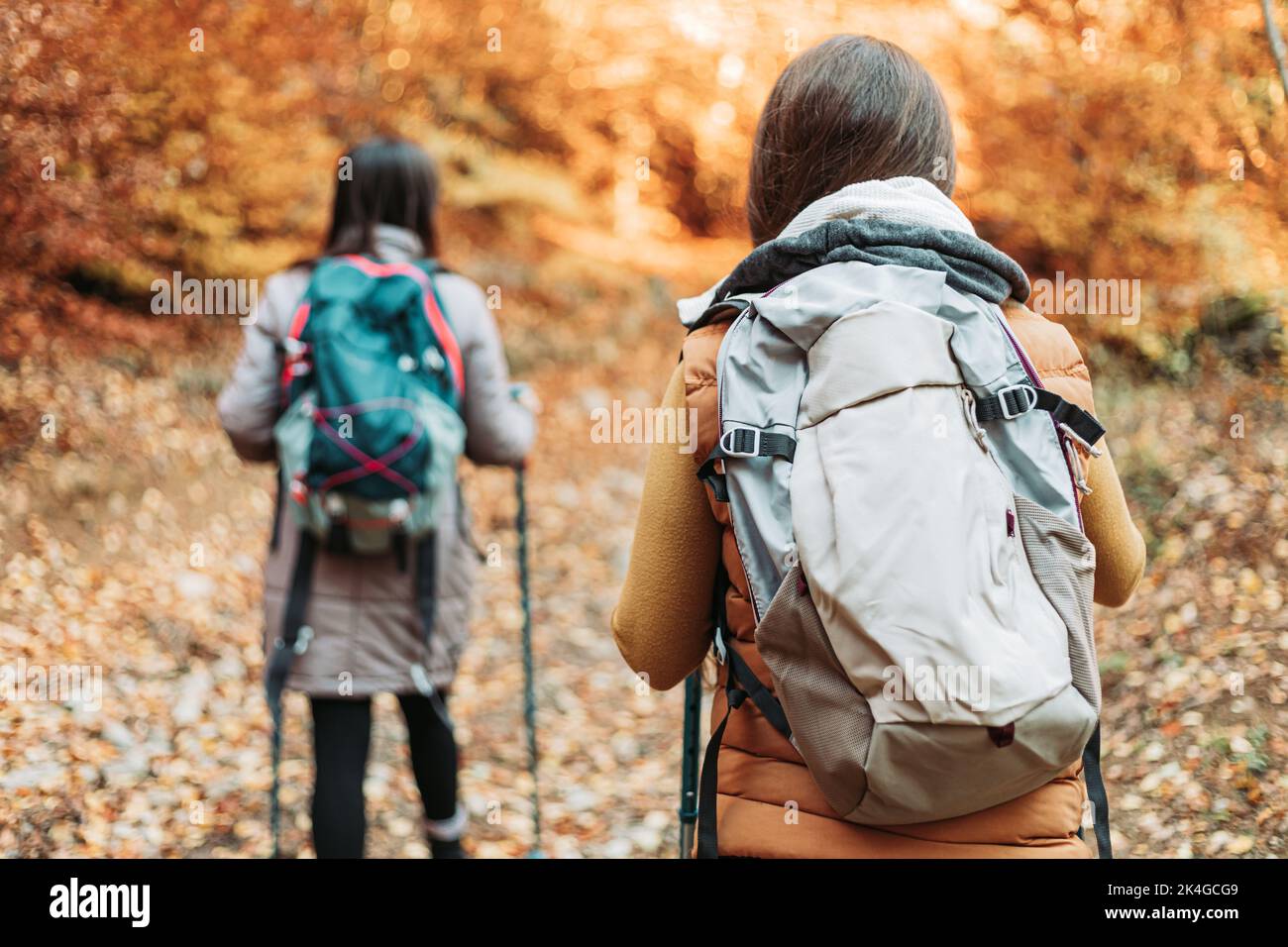 Dos niñas, excursionistas, caminando por el bosque de otoño Foto de stock