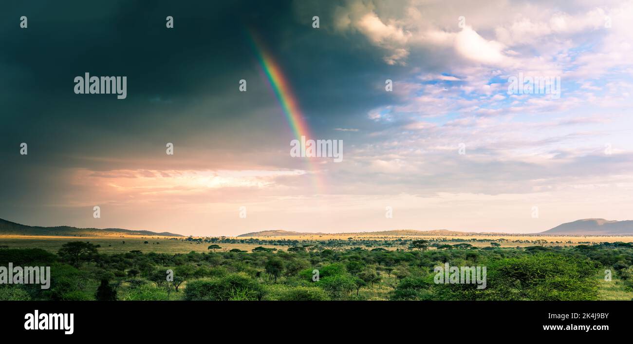 Arco iris sobre el paisaje del Serengeti, Tanzania Foto de stock