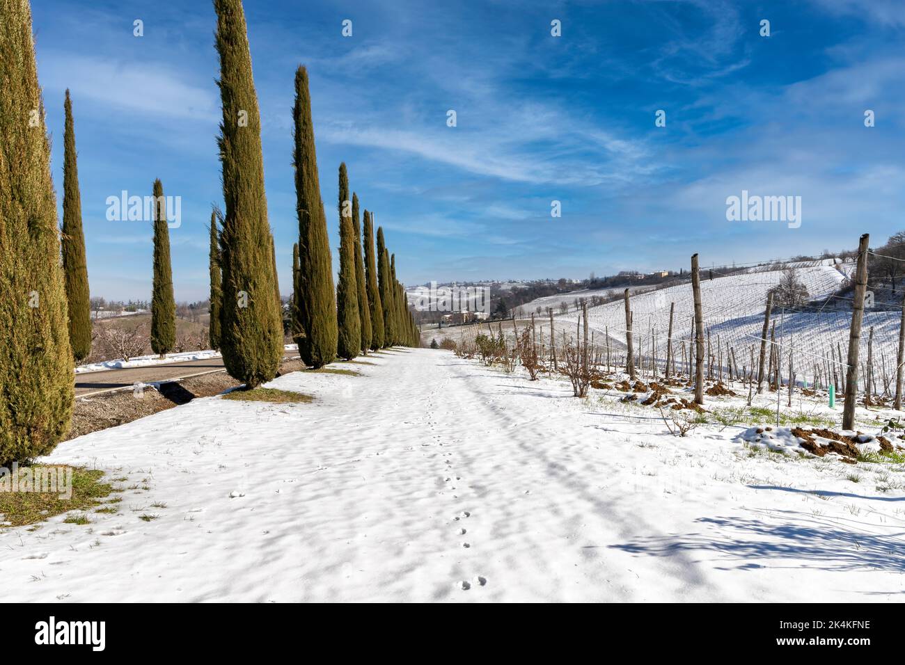 Invierno en las colinas de Castelvetro, Módena, Emilia Romagna, Italia Foto de stock