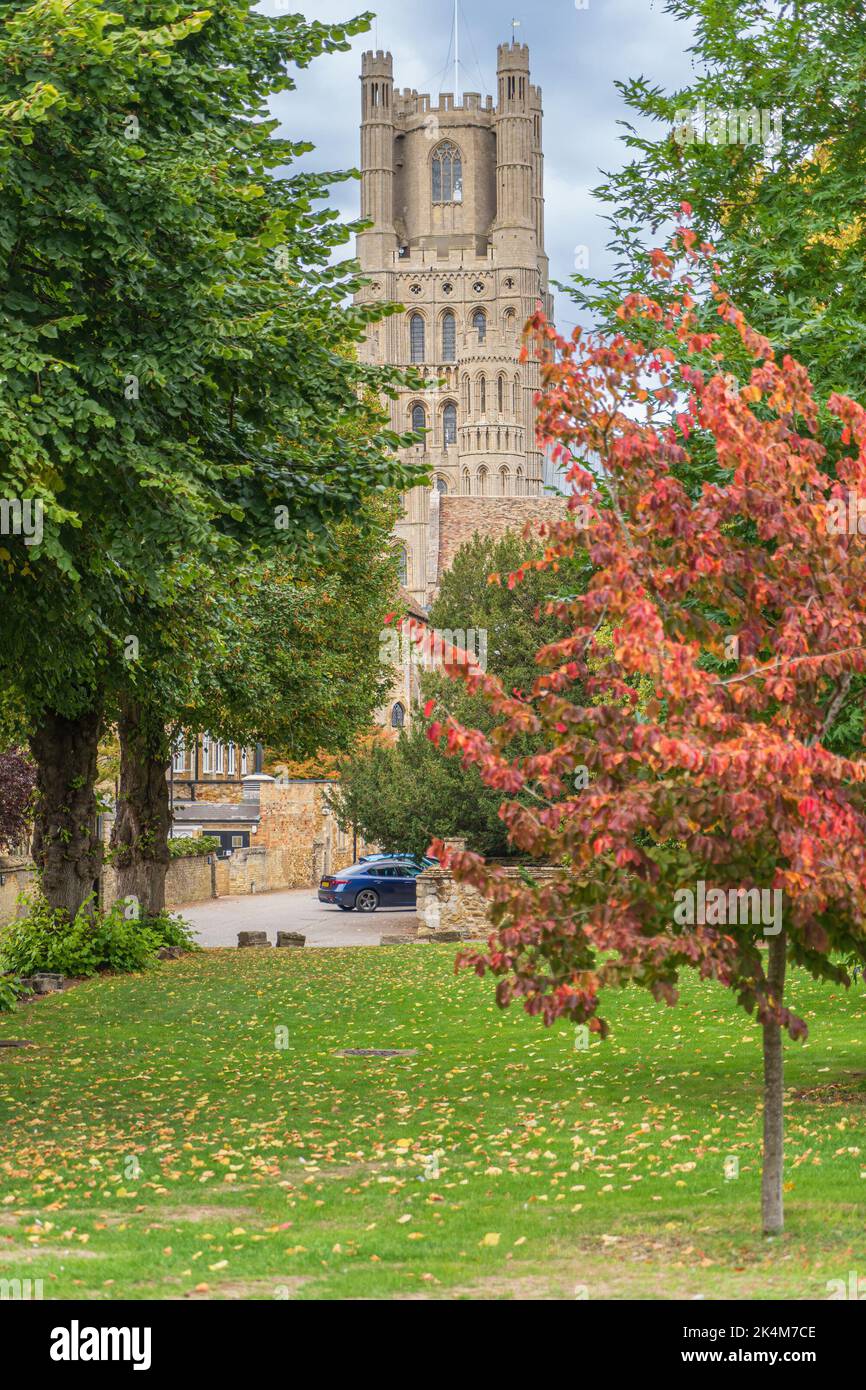 La catedral de Ely en Cambridgeshire Foto de stock