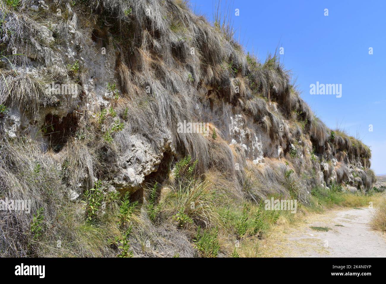 Acueducto de Toril formado por travertino precipitado por las aguas