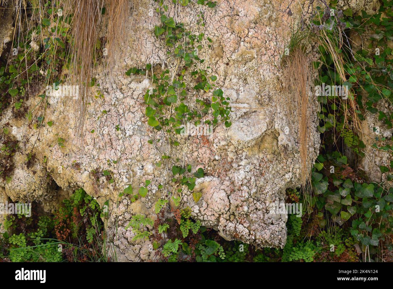 Acueducto de Toril formado por travertino precipitado por las aguas