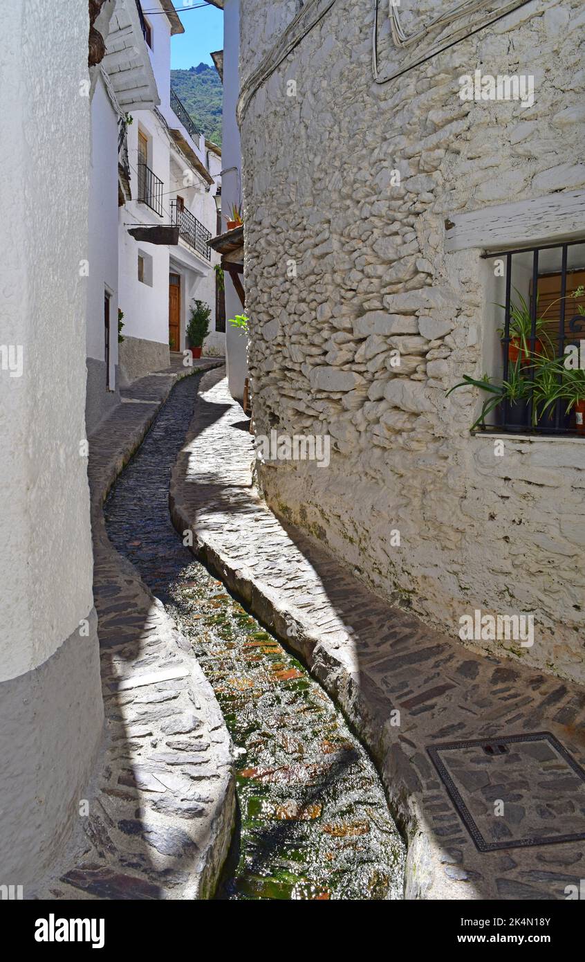 Foto de Calle Camino del Rio en Pampaneira, Granada