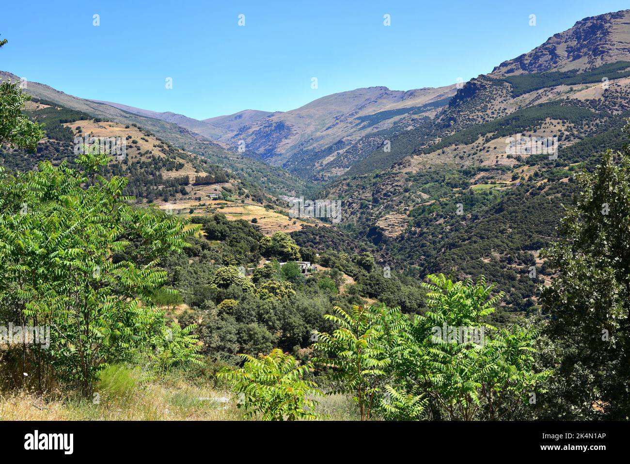 Valle del río Trévelez. La Alpujarra, Granada, Andalucía, España. Foto de stock