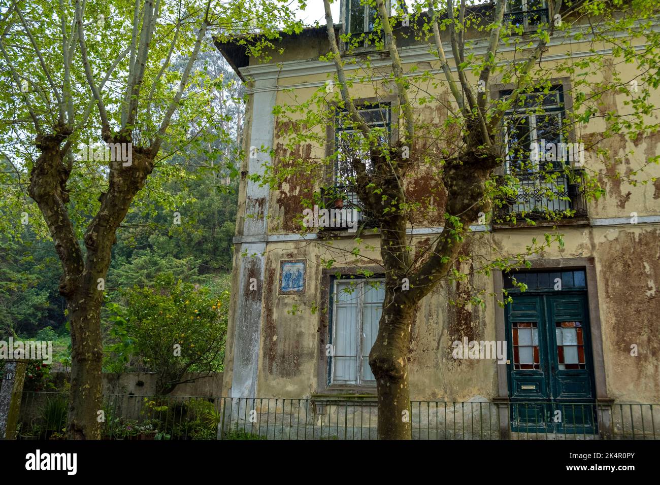 Verde primaveral afuera de una casa antigua en Sintra, Portugal Foto de stock