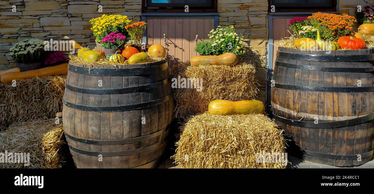 Composición otoñal al aire libre con heno, flores y calabazas Foto de stock