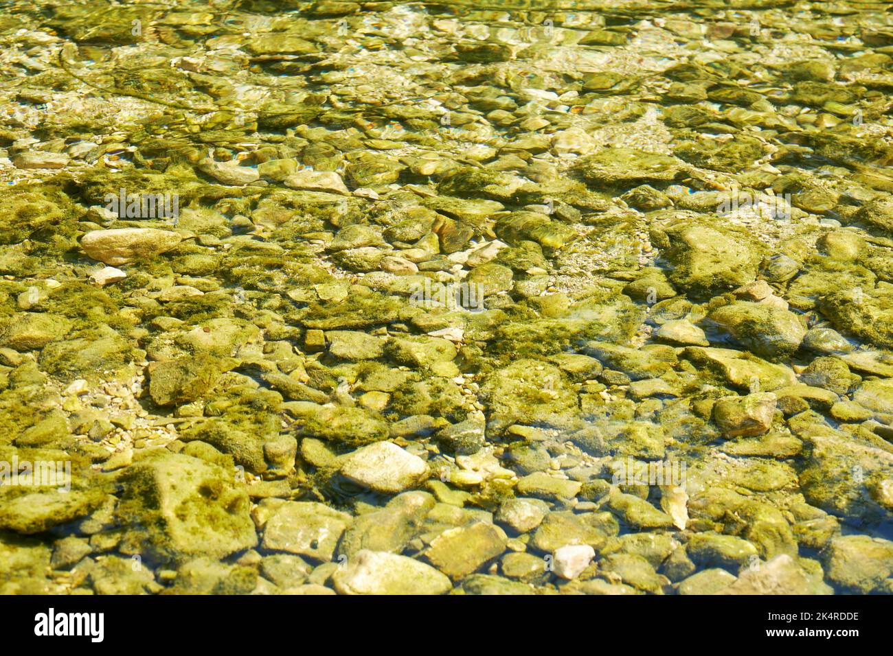 Pequeños guijarros bajo el agua en el río. Fondos abstractos de naturaleza Foto de stock