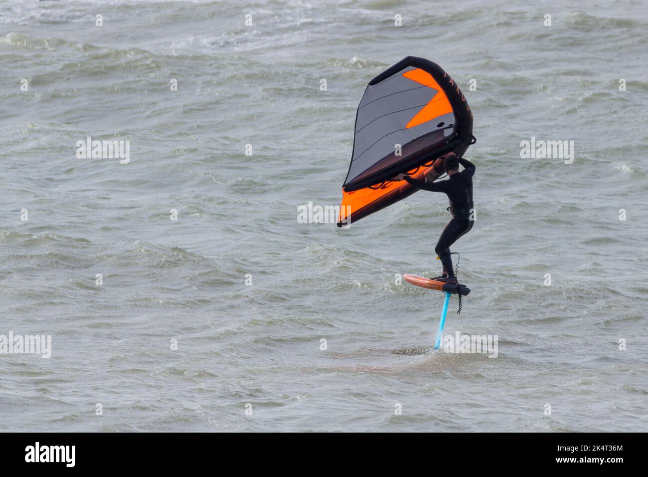Deportes acuáticos surfing en el mar con velas para atrapar el viento