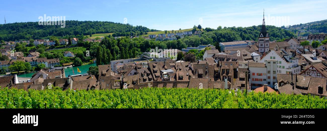 Vista de la Ciudad con Todos los Santos Minster y el Rin, Schaffhausen, Cantón Schaffhausen, Suiza, Europa Foto de stock