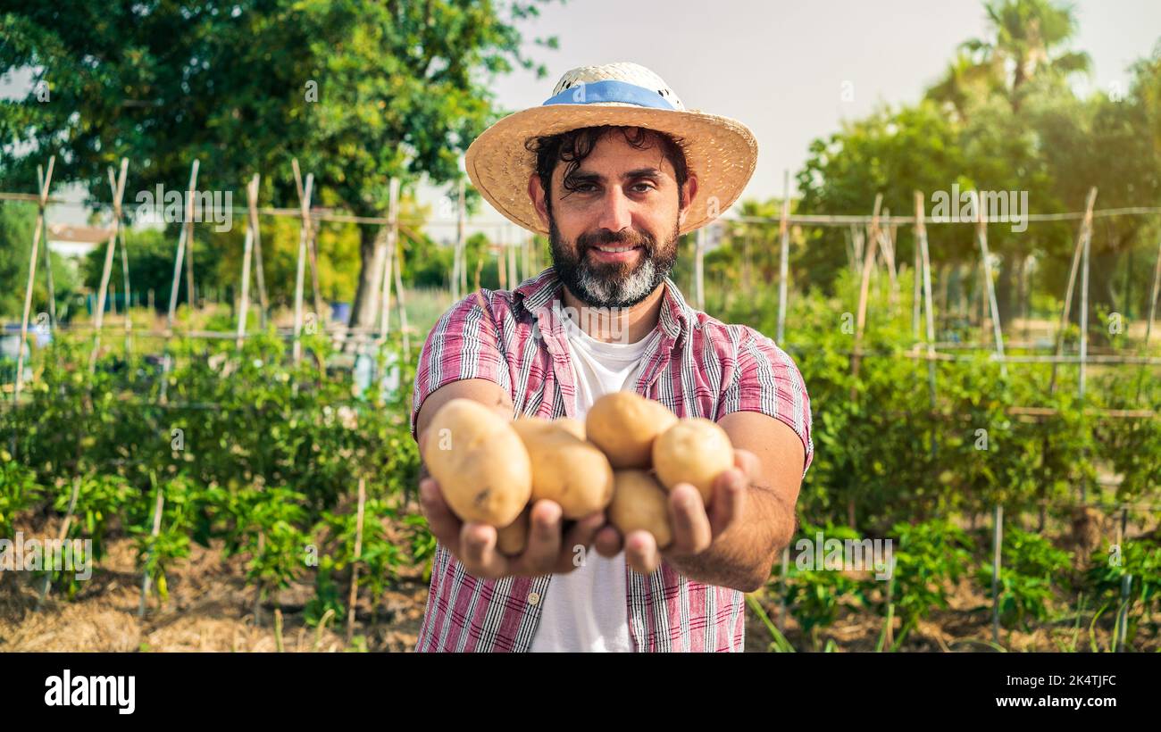 Retrato de un campesino barbudo moderno con patatas en las manos mirando la sonrisa de la cámara y se encuentra en el campo agrícola. Hombre trabajador alegre en un Foto de stock
