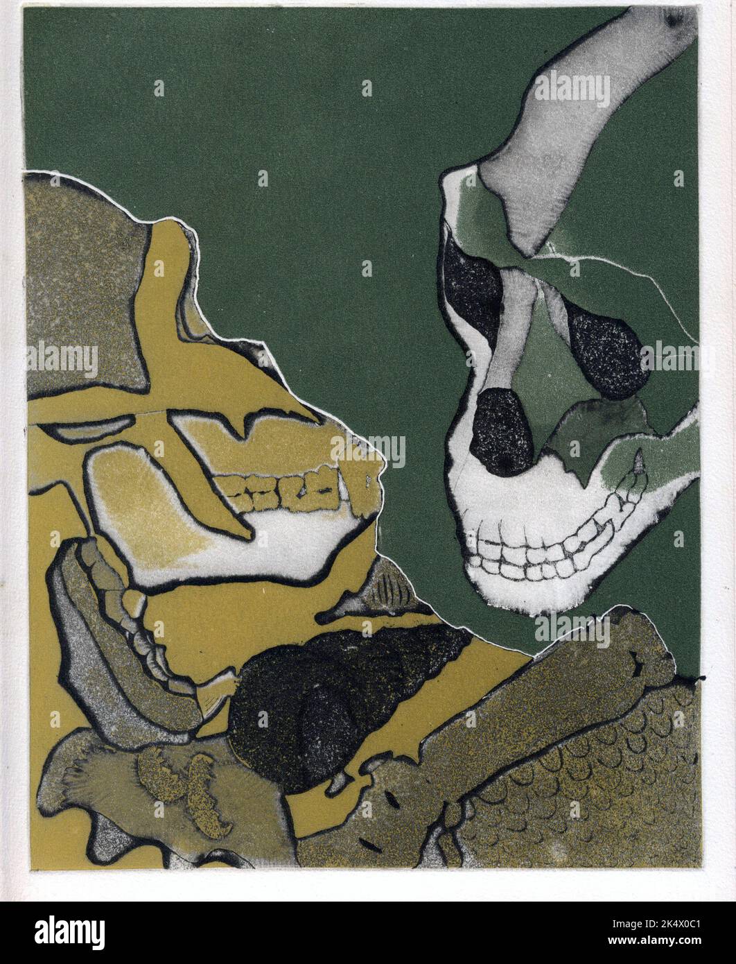 3 de 4 grabados que muestran dos cráneos gorila /homínidos, adecuados para portadas de libros, arte de revistas, evolución, biología, zoología, antropología, historia gótica Foto de stock