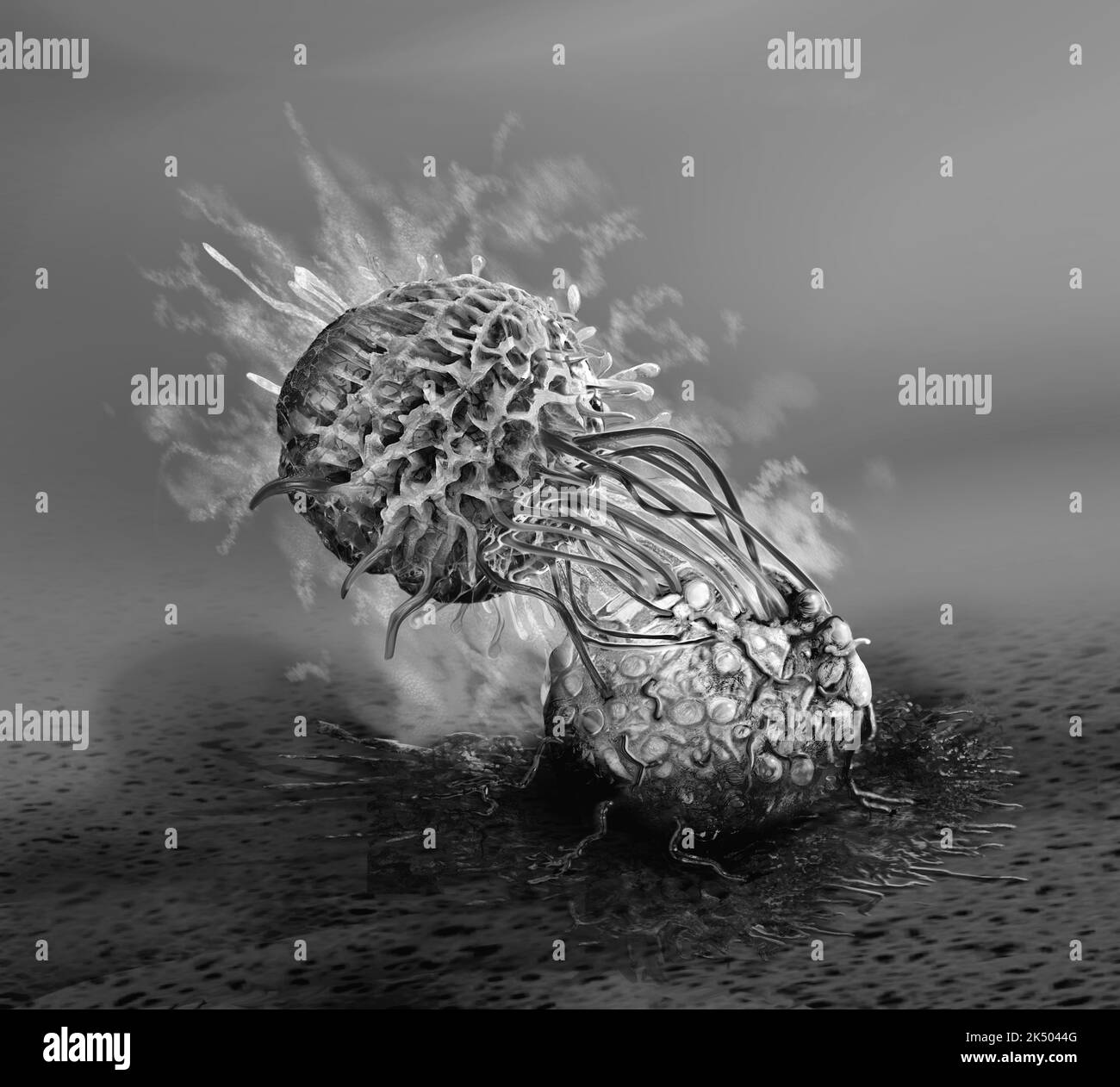 Célula asesina natural que ataca una célula cancerosa, ilustración