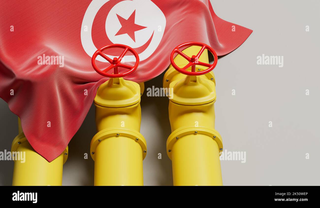 Bandera de Túnez que cubre una tubería de combustible de petróleo y gas. Concepto de la industria petrolera. Renderizado 3D Foto de stock