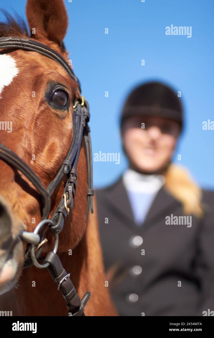 Chomping en el bit. Recortado primer plano de un caballo con su jinete montado detrás de él. Foto de stock