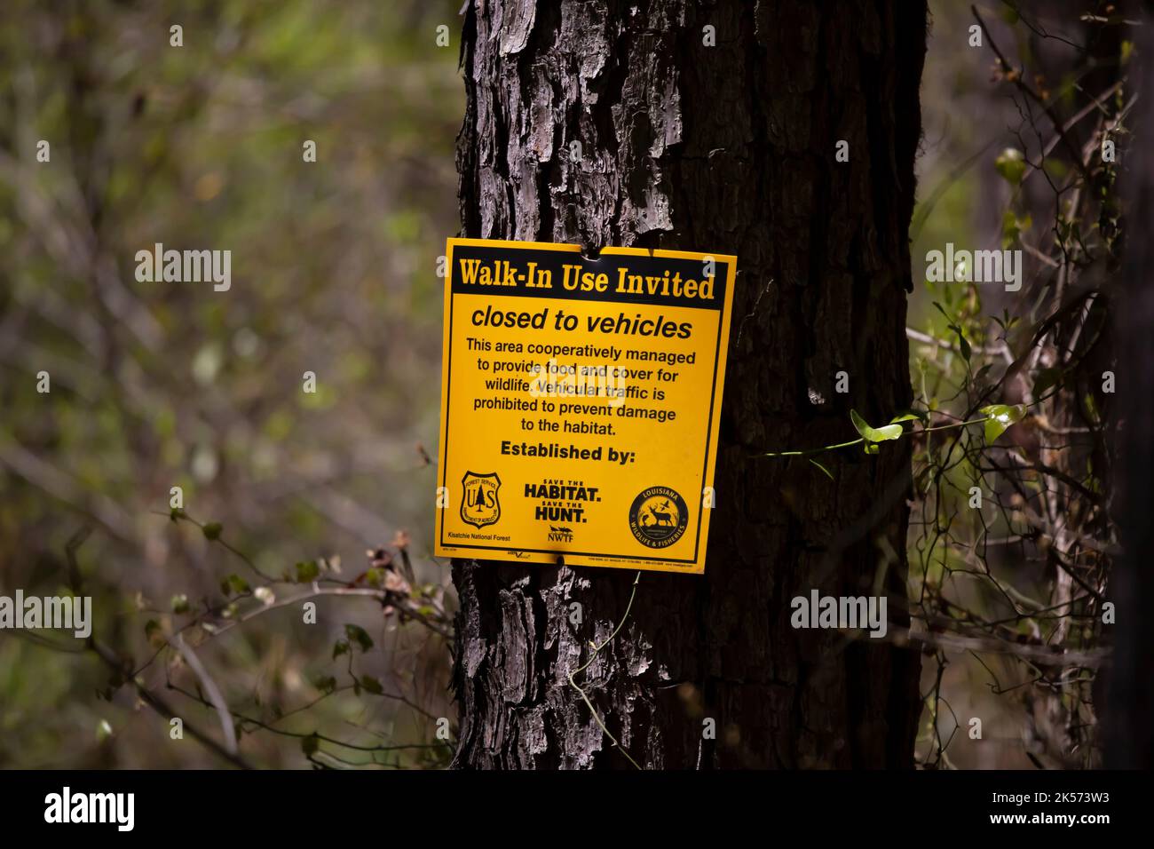 CORNEY LAKE RECREATION AREA, CANEY RANGER DISTRICT, KISATCHIE NATIONAL