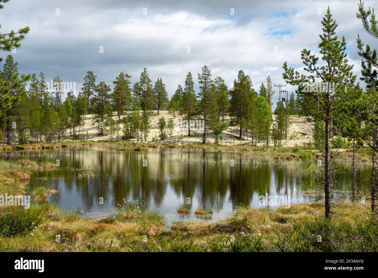 Hermosa naturaleza en el Parque Nacional Rondane, Noruega Foto de stock