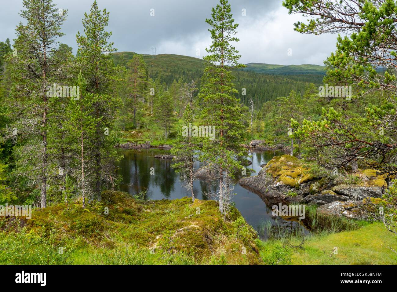 Pequeño lago en el bosque en Noruega Foto de stock