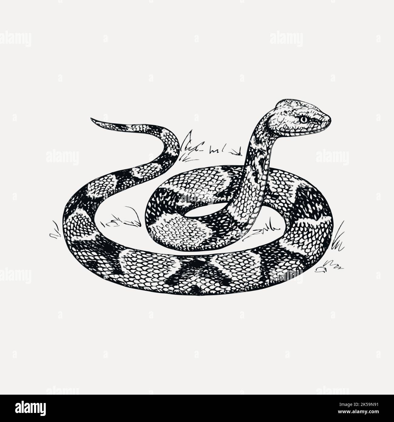 Copperhead serpiente clipart, dibujo vector ilustración Imagen Vector