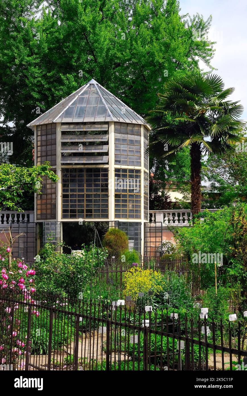 El Jardín Botánico de la Universidad de Padua. El Jardín Botánico de la