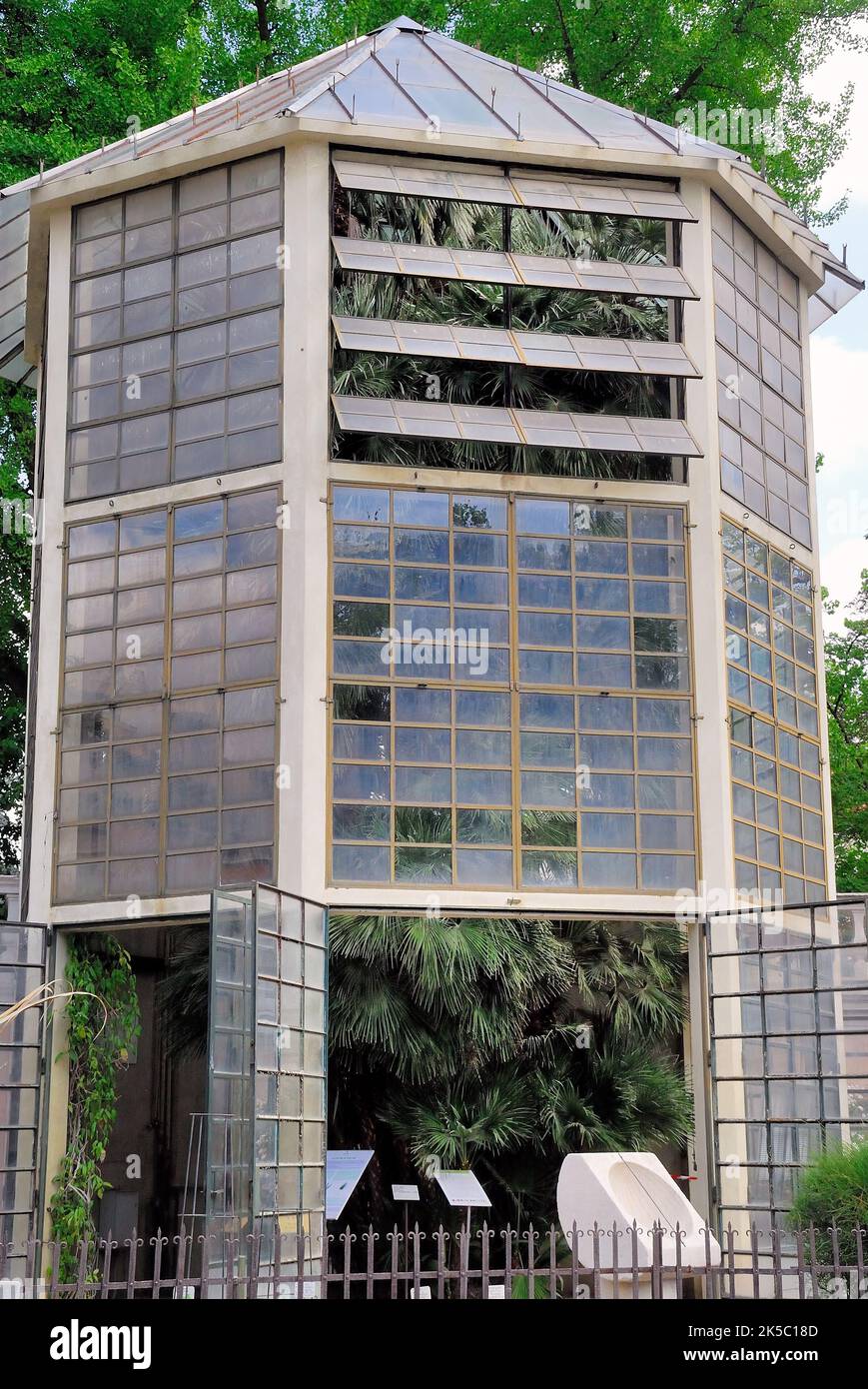 El Jardín Botánico de la Universidad de Padua. El Jardín Botánico de la