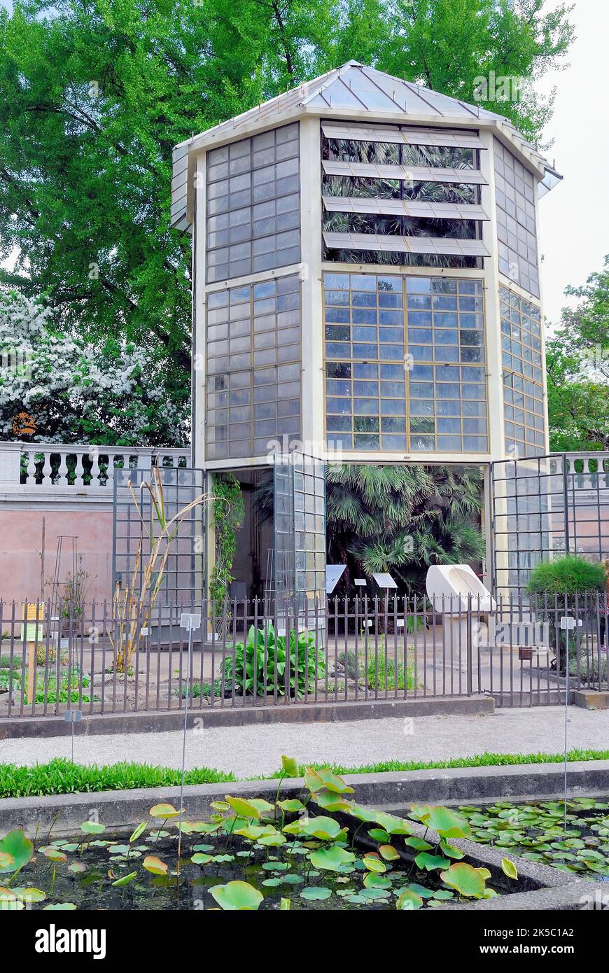 El Jardín Botánico de la Universidad de Padua. El Jardín Botánico de la