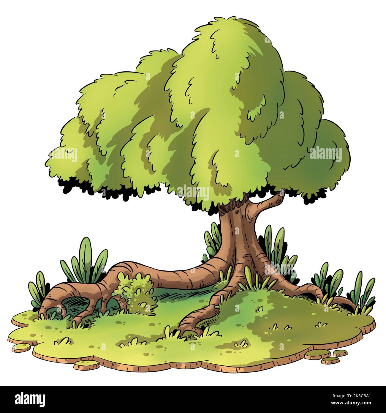 Plantas dibujo animado con raiz fotografías e imágenes de alta resolución - Alamy Plantas dibujo animado con raiz fotografías e imágenes de alta resolución - Alamy