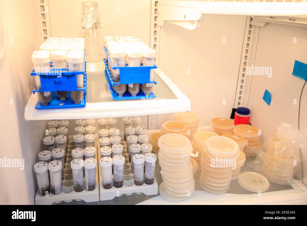 Aquí se ven tubos científicos que contienen tierra y microbios del suelo para el experimento Dinámica de los Microbiomas en el Espacio (DINAMOS) después de haber sido preparados para volar a la Estación Espacial Internacional dentro de la Instalación de Procesamiento de la Estación Espacial en el Centro Espacial Kennedy de la NASA en Florida el 11 de julio de 2022. El experimento DINAMOS se lanzará en la misión de servicios de reabastecimiento de carga 25th de SpaceX para examinar cómo la microgravedad afecta las interacciones metabólicas en comunidades de microbios del suelo. Esto ayudará a la NASA a entender la función de los microorganismos del suelo en el espacio versus en la Tierra y cómo pueden ser utilizados para e Foto de stock