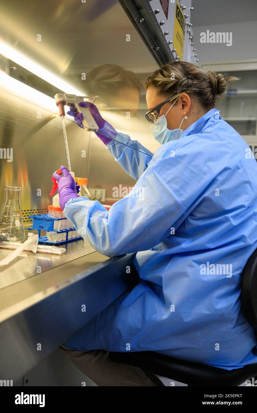 Yuliya Farris, científica biomédica del Centro Espacial Kennedy, prepara el experimento Dinámica de los Microbiomas en el Espacio (DINAMOS) dentro de un laboratorio en la Instalación de Procesamiento de la Estación Espacial del Puerto Espacial de Florida el 11 de julio de 2022. El experimento DINAMOS se lanzará en la misión de servicios de reabastecimiento de carga 25th de SpaceX para examinar cómo la microgravedad afecta las interacciones metabólicas en comunidades de microbios del suelo. Esto ayudará a la NASA a entender la función de los microorganismos del suelo en el espacio versus en la Tierra y cómo pueden ser utilizados para mejorar el crecimiento de la planta para el consumo de la tripulación durante misiones de larga duración al Moo Foto de stock