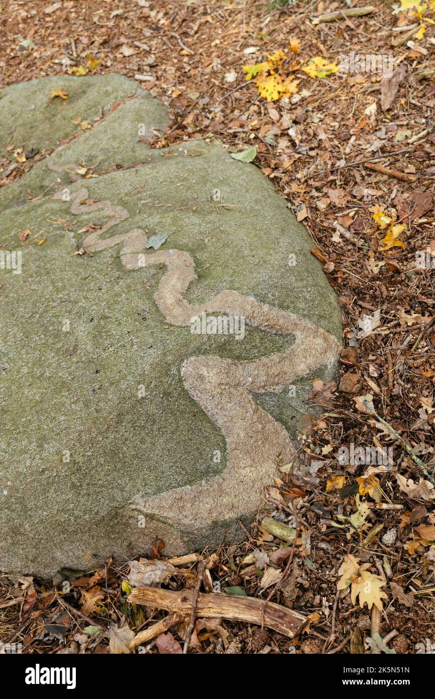 Glacial errática conocida como piedra de dragón cerca de donnern, Loxstedt, Cuxhaven, Baja Sajonia, Alemania Foto de stock