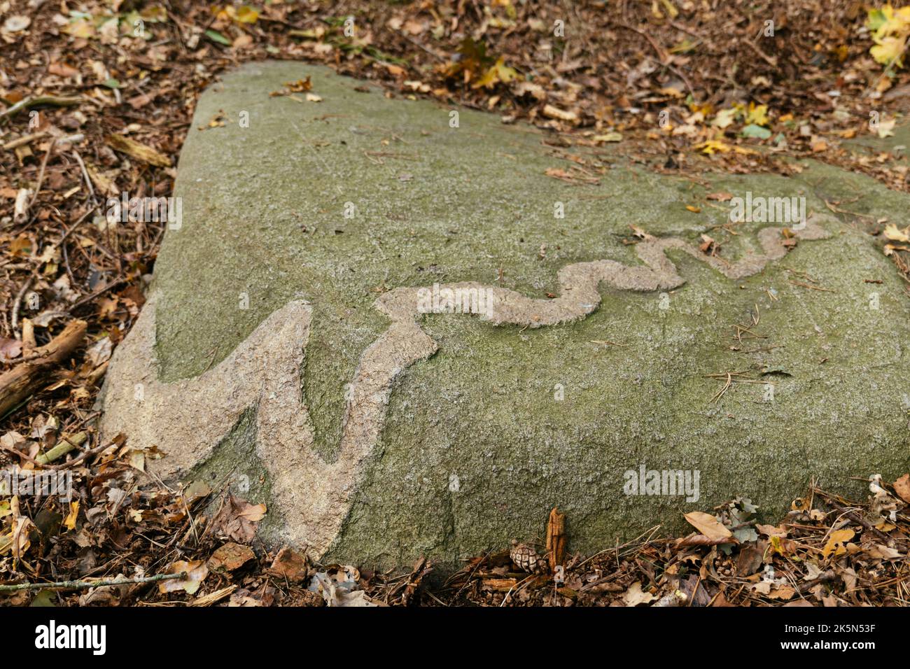 Glacial errática conocida como piedra de dragón cerca de donnern, Loxstedt, Cuxhaven, Baja Sajonia, Alemania Foto de stock