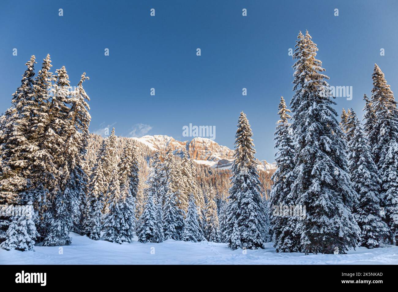 Paraíso invernal de los Dolomitas Foto de stock