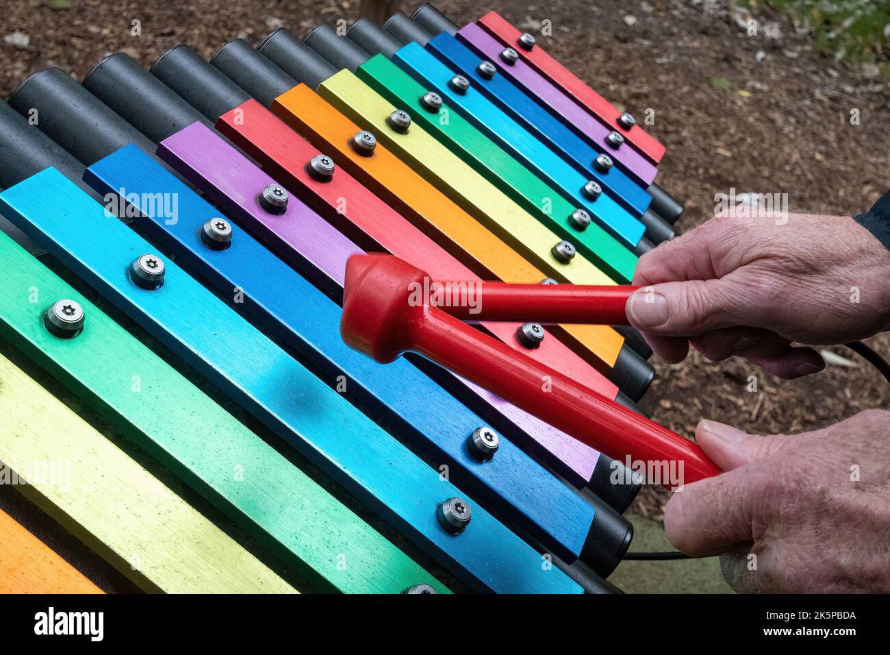 Hombre tocando un colorido instrumento musical en Sir Harold Hillier Gardens, Hampshire, Inglaterra, Reino Unido Foto de stock