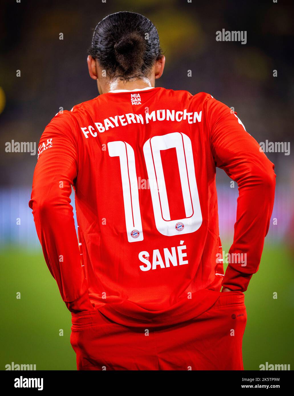twain sane 10.10 twain sane 10.10