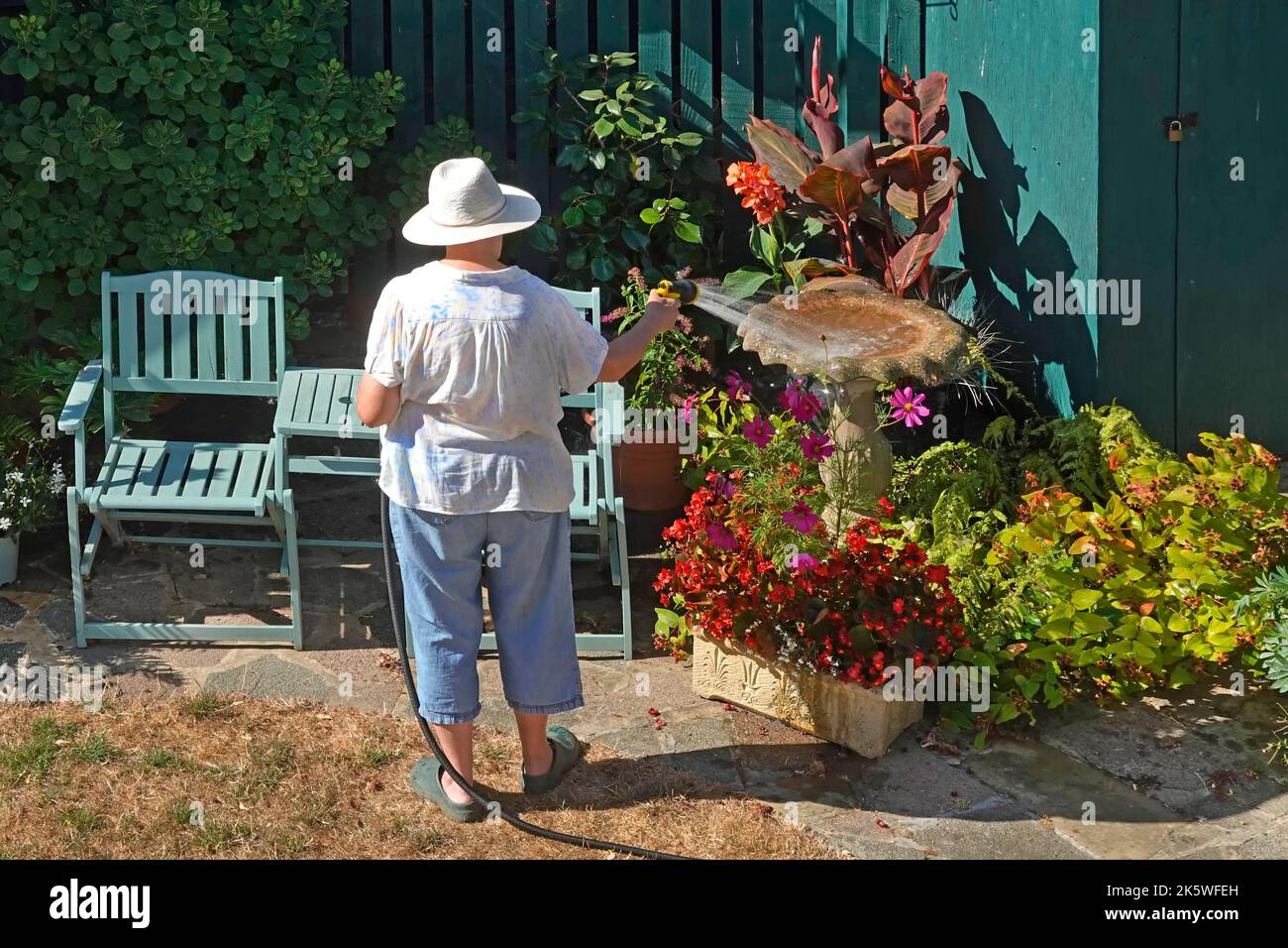 Senior madura mujer jardinero vista atrás limpieza de relleno de agua en ornamental jardín trasero birdbath cuidado de los pájaros durante el clima caliente seco del verano Reino Unido Foto de stock