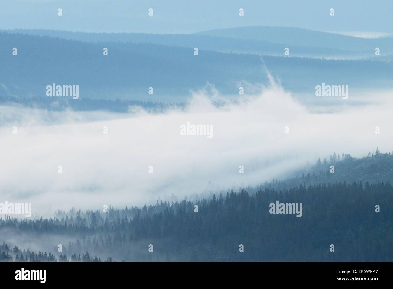 Movimiento de niebla entre las colinas durante una noche de verano en el Parque Nacional Urho Kekkonen, al norte de Finlandia Foto de stock